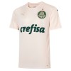 Virallinen pelipaita Palmeiras Kolmas 2021-22 Lyhythihainen - Miesten Virallinen pelipaita Palmeiras Kolmas 2021-22 Lyhythihainen - Miesten